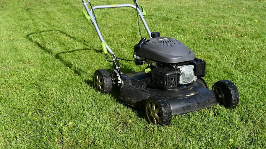 Carousel ad example: freshly mown lawn
